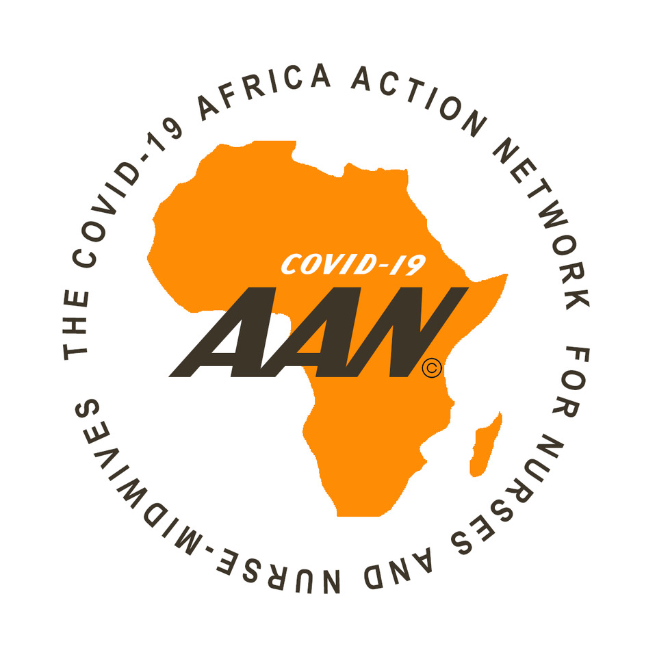 Africa Action Network